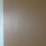DSC01398
