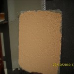 D:DCIM100DICAMDSCI3593.JPG