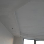 DSC02303