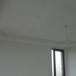 DSC02311