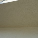 DSC02511