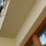 DSC02517