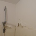 DSC02531