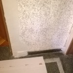 WP_20131218_007