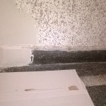 WP_20131218_009