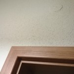 WP_20131218_031